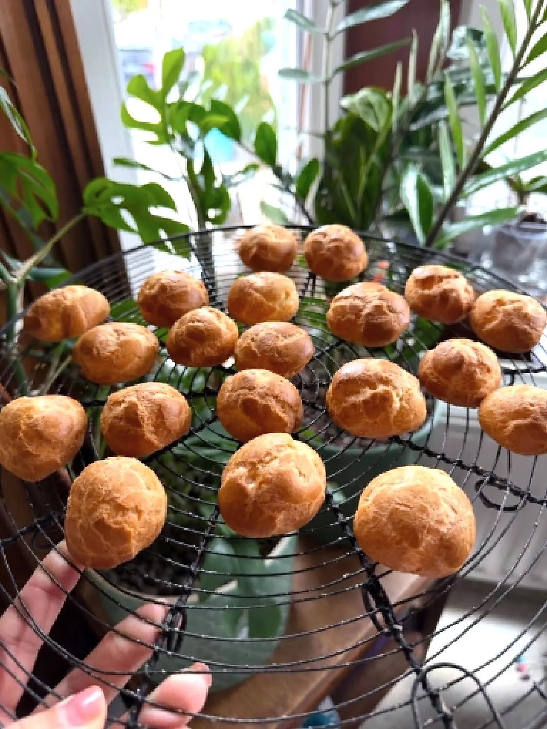 Choux dorés refroidissant sur une grille