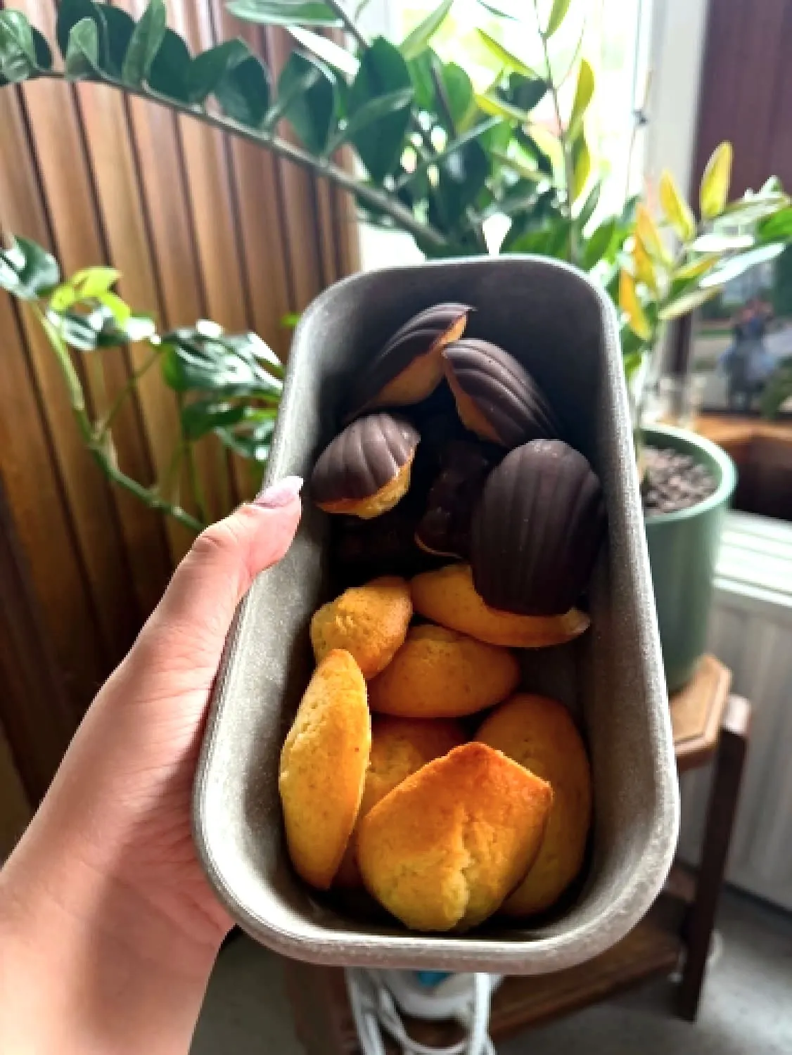 Madeleines nature et madeleines nappées de chocolat dans une barquette